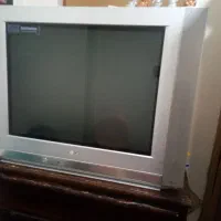 تلویزیون