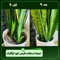فروش قرص کود  ارگانیک با صرفه وبا نازلترین قیمت|خدمات باغبانی و درختکاری|صفادشت, |دیوار