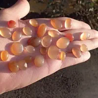 نگین|جواهرات|زابل, |دیوار