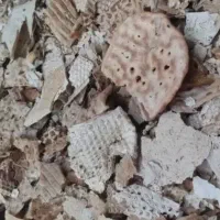 نان خشک تمیز