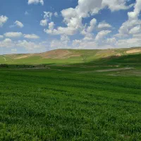 قطعه زمین قولنامه ای در اراضی شهرک فاطمیه