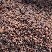 کشمش خلیل اباد خراسان