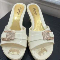 دمپایی مجلسی|کیف، کفش، کمربند|ساوه, |دیوار