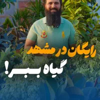 پنج گیاه رایگان در پیک گل