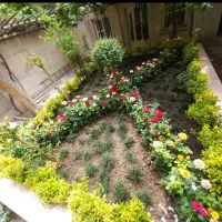 خدمات باغبانی تعویض خاک گلدون صفر تا صد گل کاری