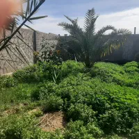 زمین-مناسب-ویلا-سازی