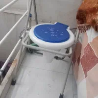 توالت فرنگی تاشو
