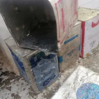 11عدد هیفده کیلویی برای جفت گاه کفتر