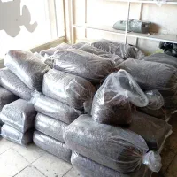 کشمش آفتابی تاکستان