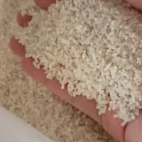 برنج نیم دونه
