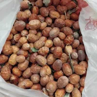 سنجد|خوردنی و آشامیدنی|قلندر آباد, |دیوار