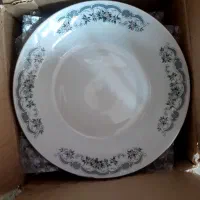 بشقاب غذاخوری پارس