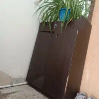 جا کفشی