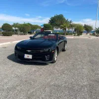 کامارو کروک مشکی