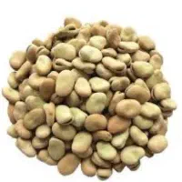 باقالا درجه یک بوجار سورت شده