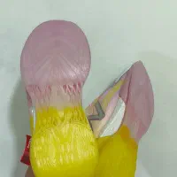 کتونی نیوبالانس کپسولی|کیف، کفش، کمربند|شاهدشهر, |دیوار