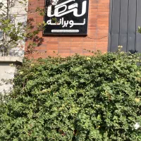 جذب فروشنده تلفنی و حضوری|استخدام بازاریابی و فروش|هادی شهر, |دیوار