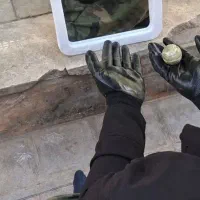 سنگ روحانی ۶۵۷ گرمی