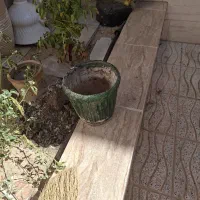 گلدان کاملا سالم