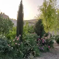 زمین-900-متر