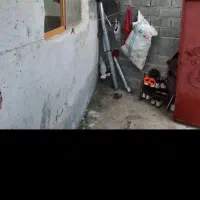 خانه اجاره ای،ویلایی|اجارهٔ خانه و ویلا|خاش, |دیوار