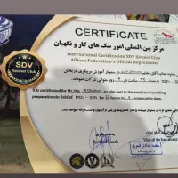 مربی سگ های خانگی ونگهبان|خدمات آموزشی|شیراز, قصرالدشت|دیوار