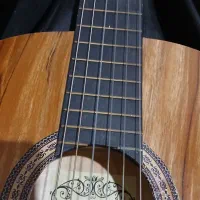 گیتار سانتاماریا همراه با کاور