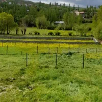 زمین سند دار*مسکونی