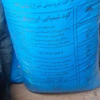 کودشیمیایی مسجد سلیمان شرکتی