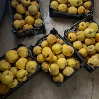 فوری فروش به