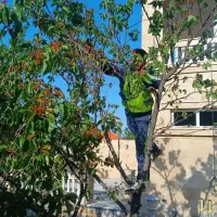 کلیه کارهایه باغبانی سم پاشی هرس  گل کاری تیلرزن