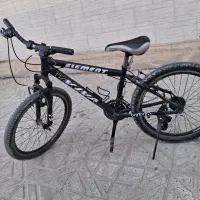 دوچرخه ۲۴ ویوا ‌