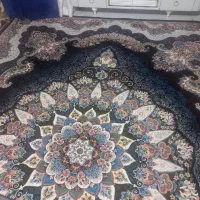 دو عدد فرش ۱۲متری