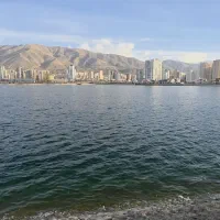 همراه و پارتنر پیاده‌روی صبحگاهی