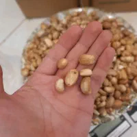 بذر انواع گیاهان