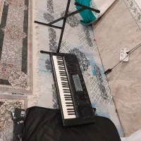 ارگ فروشی سالم