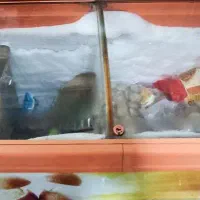 فریزر بستنی صندوقی