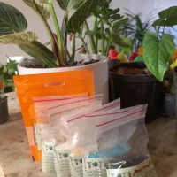 کود و سم مخصوص گل با مشاوره رایگان