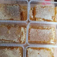 عسل طبیعی درجه یک