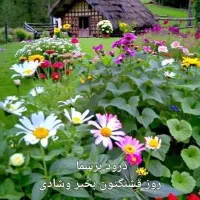 اجاره خانه به صورت دوبلکس می باشد وحیات هم دارد.