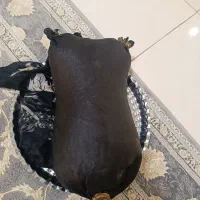 جا روغن حیوانی|ظروف نگهدارنده، پلاستیکی، یک‌بارمصرف|شهریار, شهرک بهاران (ویره)|دیوار