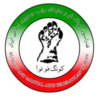 اموزش کلاس های رزمی کنگفو پرتوآ