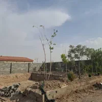 فروش ۴دیواری تبرعه دار فروش فوری زیرقیمت|فروش دفتر صنعتی، کشاورزی، تجاری|اصفهان, قهاب جنوبی|دیوار