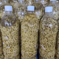 غوره غوره