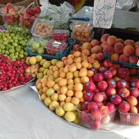 فروشنده میوه تره بار خانوم