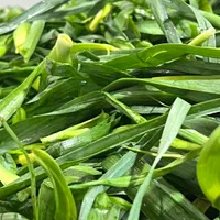 پخش بزرگ سبزی کرج|خوردنی و آشامیدنی|کرج, آق تپه|دیوار