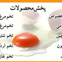 فروشندگی آقا و خانم