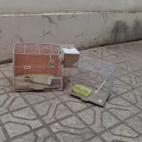 قفس پرنده