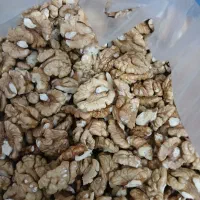 مغزگردو‌سفیدوروغنی