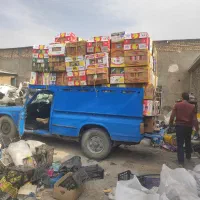 خرید سبد و کارتن موزی